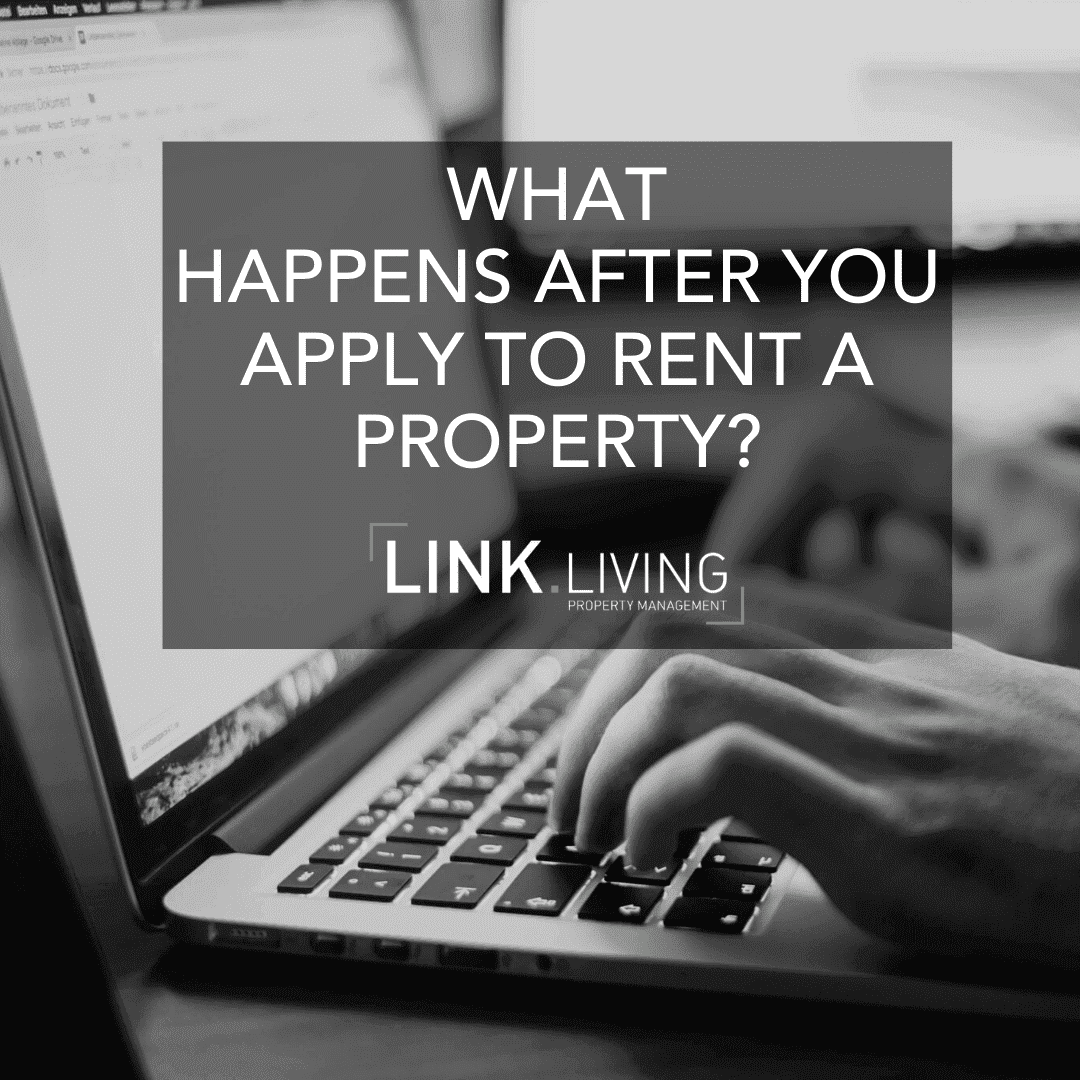 what-happens-after-you-apply-to-rent-a-property-link-living